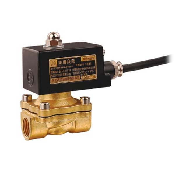 2W 2/2 Way Solenoid Valve Ex-proof